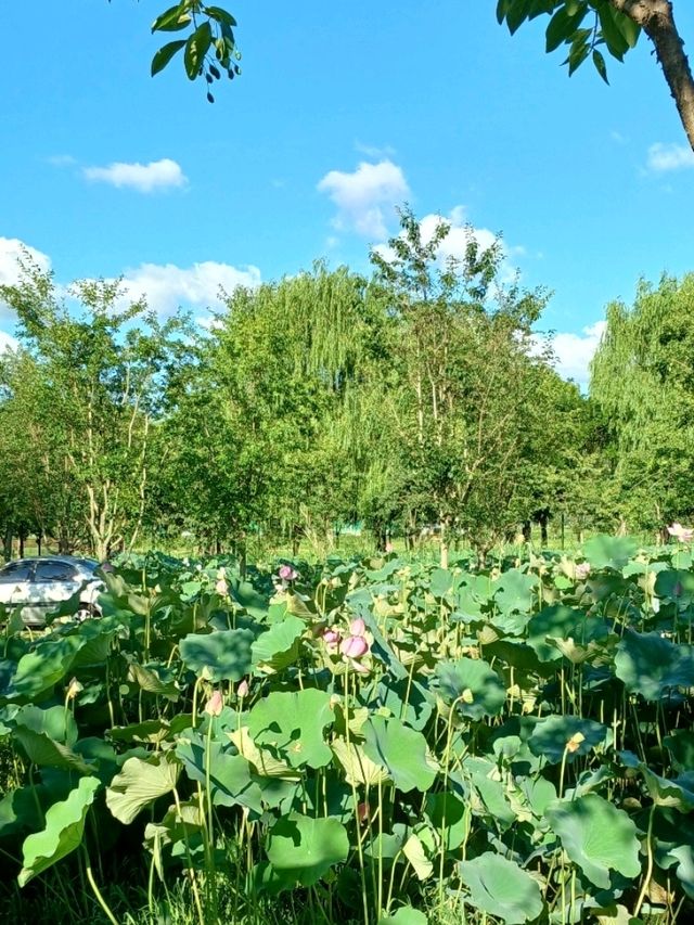 마음이 환해지는 햇살 가득한 공간 ☀️
