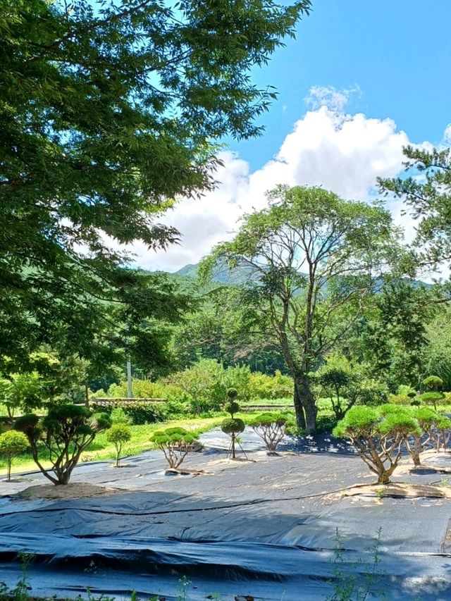 조용한 여유