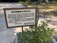 扶桑最初禅窟：聖福寺 山門與日本茶起源的見證
