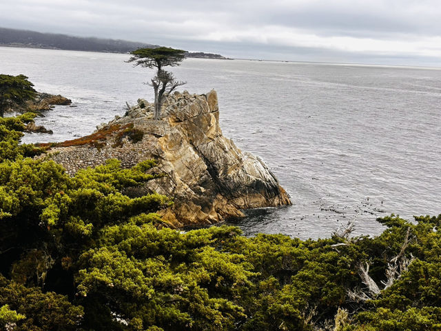 Stunning 17 Miles between Monterey and Carmel