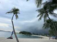 Nature – Beaches – Culture – Night Views ✨ No shopping – Includes tropical forest hikes, beaches, Li
