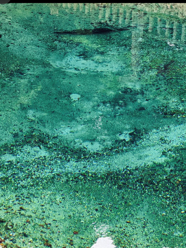 💧別府弁天池｜吸い込まれそうな青！神秘の湧水池で心を浄化する旅