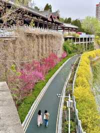 Where History Blooms – A Stroll Through Luoyang Wangcheng Park