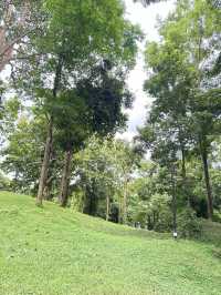 เที่ยวเชียงใหม่ฟิลธรรมชาติ Rachel coffee&community