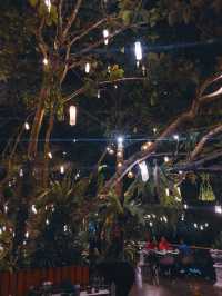 Alive Cheewit Cheewa, Hat Yai