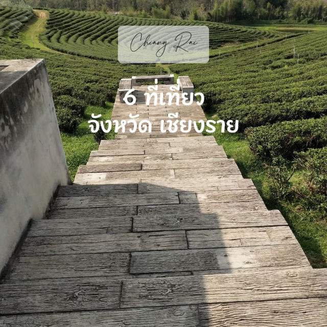 มัดรวม 6 ที่เที่ยวเชียงรายย ย  ย