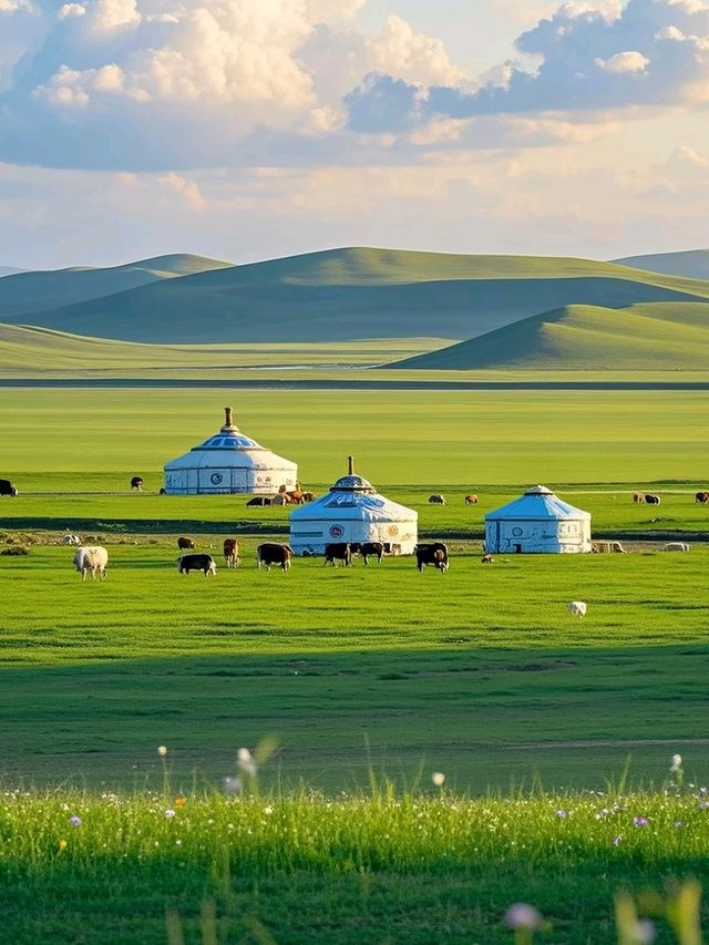 Beyond the City: Hohhot’s Endless Green Horizons Beyond the City: Hohhot’s Endless Green Horizons