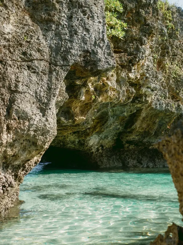처음으로 떠나는 오키나와 본섬 만끽 코스