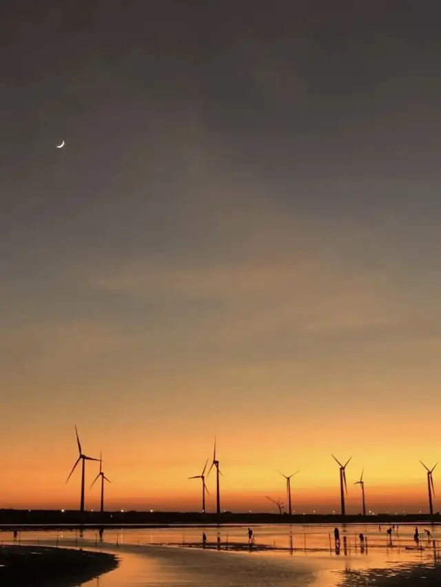 高美濕地的黃金時刻