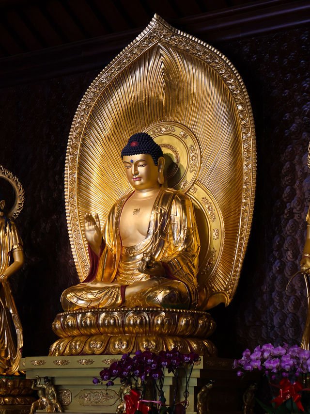 Calmness in Heart of Chengdu,Daci temple