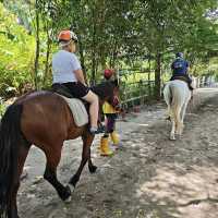 Hidden Country Stables in Penang