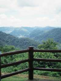 🌲🏞️ เขาใหญ่ — สวรรค์สีเขียวใกล้กรุง