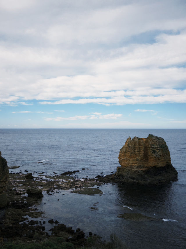2D1N Great Ocean Road Adventure: Koalas, Coastal Views & Hidden Gems 🐨🌊