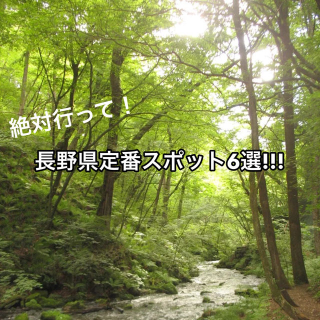 【みんなはもう行った？】長野県定番スポット‼️