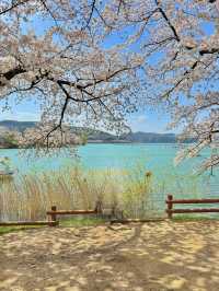 🌸 경주 여행