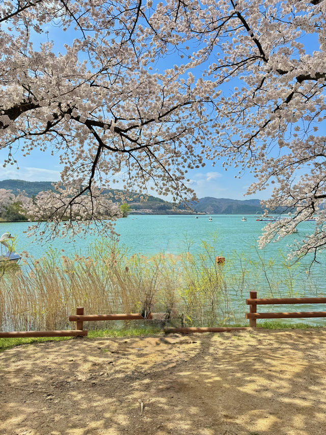 🌸 경주 여행