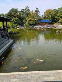 【大阪】堺市　大仙公園 日本庭園カフェ