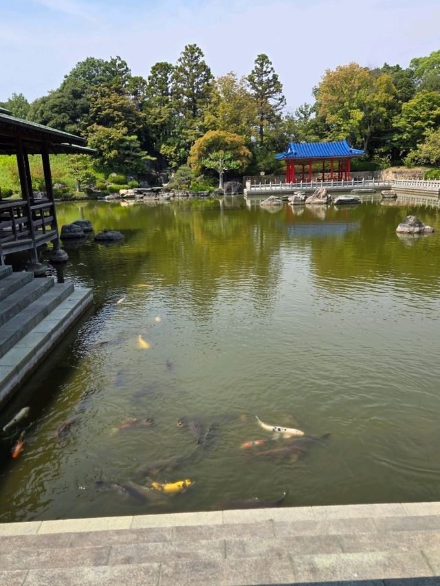 【大阪】堺市　大仙公園 日本庭園カフェ
