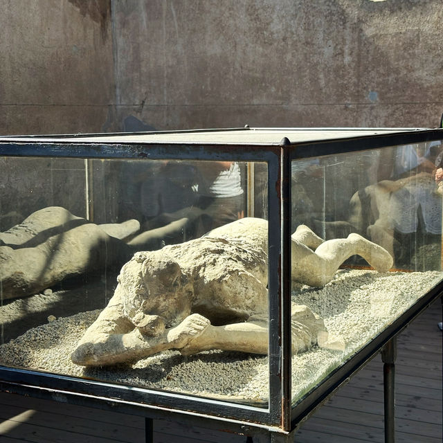 龐貝古城：拿坡里歷史遺跡的專業指南