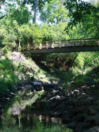 Houston Audubon – Texas