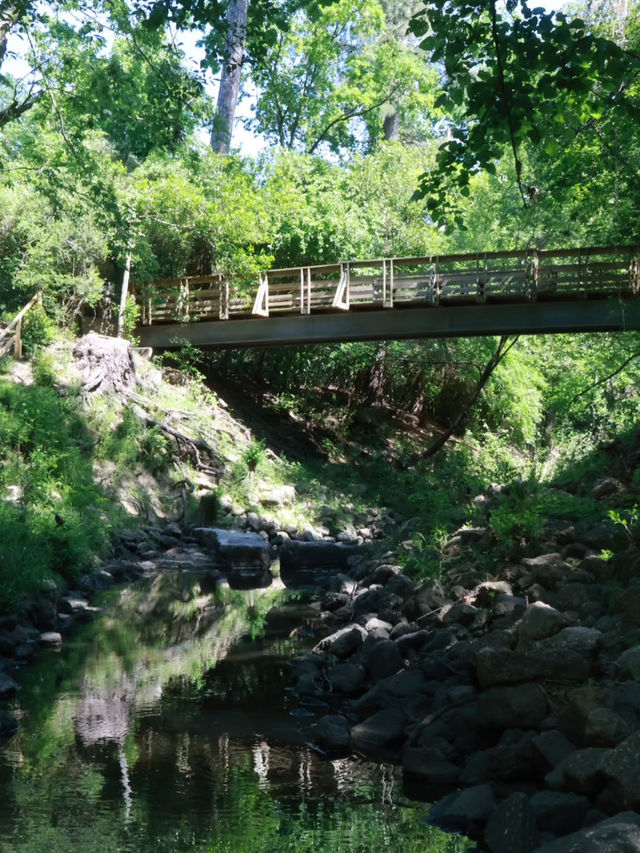 Houston Audubon – Texas