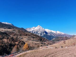 Thures turin