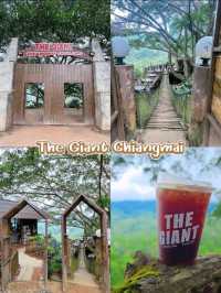 The Giant Chiangmai คาเฟ่บนต้นไม้