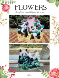 石排灣郊野公園自然探索