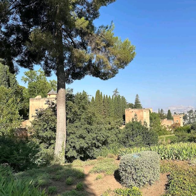Generalife Gardens (헤네랄리페 정원) 리뷰 모음