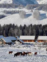 Hemu Village in winter