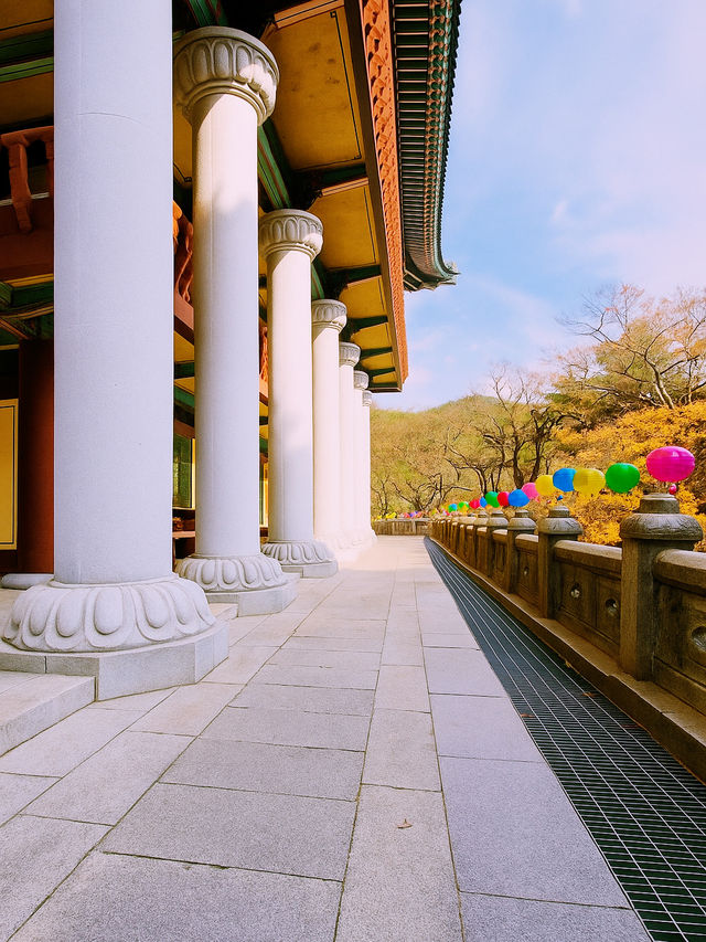 출렁다리의 짜릿함과 동화사의 고즈넉함 🌿