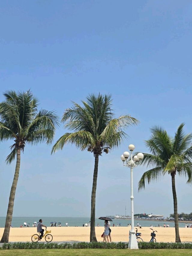 【北上珠海玩咩好🤔】騎單車🚲吹住風遊城超爽多🥰🥰