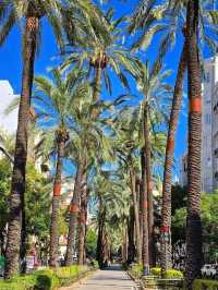 Marvelous Valencia: Where History Meets the Future ✨