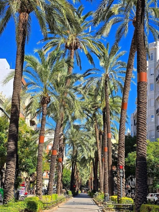 Marvelous Valencia: Where History Meets the Future ✨ Marvelous Valencia: Where History Meets the Future ✨