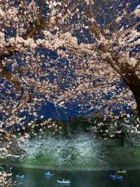 2025.03.28 櫻花季東京獨旅五天四夜行程 p6 第四天行程大公開(6.東京鐵塔)