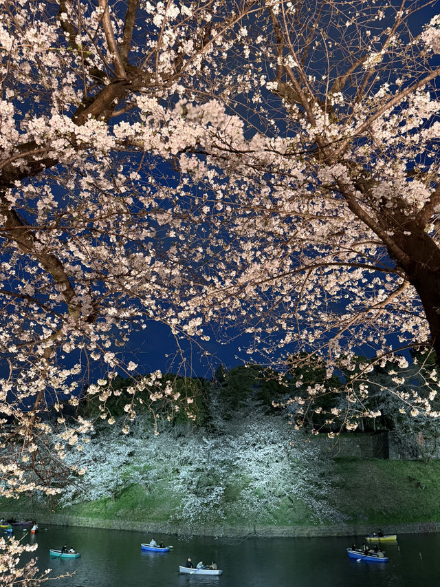 2025.03.28 櫻花季東京獨旅五天四夜行程 p6 第四天行程大公開(6.東京鐵塔) 2025.03.28 櫻花季東京獨旅五天四夜行程 p6 第四天行程大公開(6.東京鐵塔)