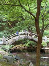 大邱｜千年桐華寺的寧靜之美 能在寺廟住宿體驗修行生活