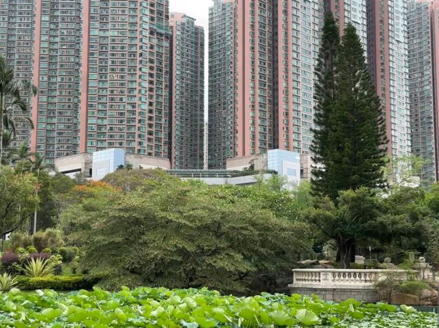 Tsing Yi Park Tsing Yi Park