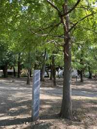 【東京都上野🇯🇵 上野恩賜公園】美術館や動物園に行くもよし‼️カフェでまったりするもよし☺️