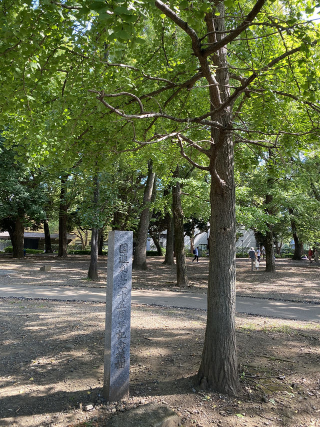 【東京都上野🇯🇵 上野恩賜公園】美術館や動物園に行くもよし‼️カフェでまったりするもよし☺️
