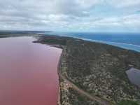 澳洲 Hutt Lagoon 粉紅湖:夢幻湖泊的空中饗宴