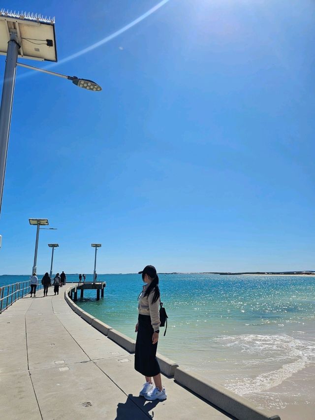 Roadtrip Vibes: Leaning Tree & Jurien Bay Beach Fun 🌳🏖️