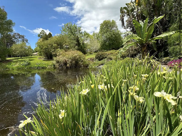 Ayrlies Garden and Wetlands