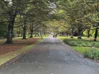 Queens Park, Invercargill