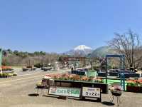 鳥取花廻廊