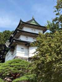 THE IMPERIAL PALACE.
