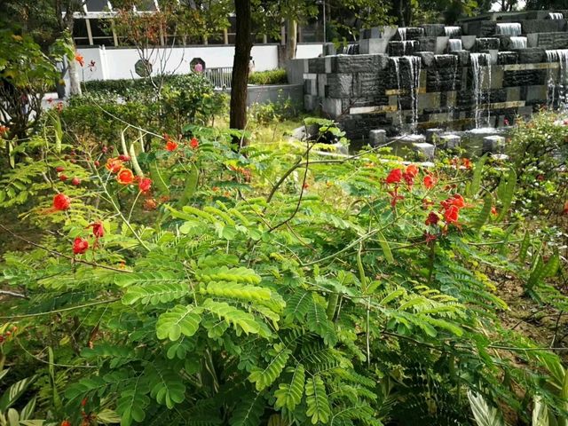 城市綠洲午後悠閒漫步｜坑口文曲里公園