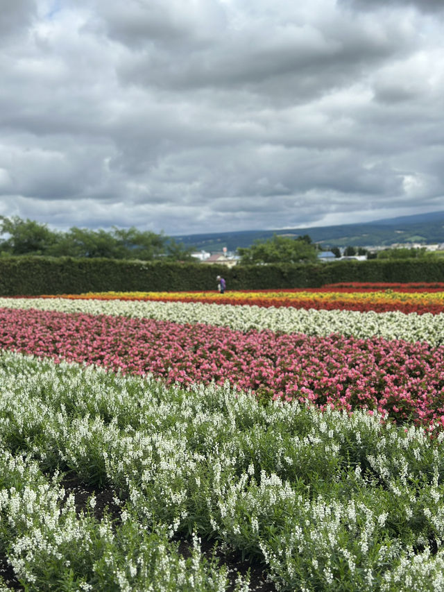 ✨กิจกรรมหน้าร้อนใน Hokkaido✨