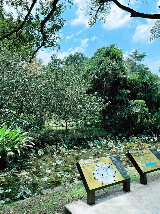 Taman Botani Perdana: Serene Green Escape in the Heart of KL