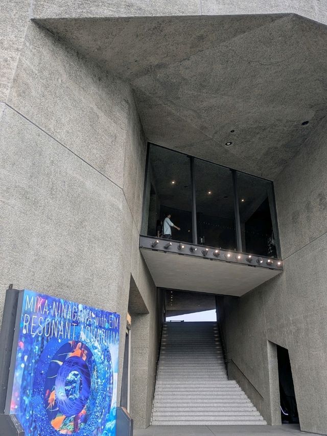 【神戸の水族館】水族館の年パス買うならココでしょ！